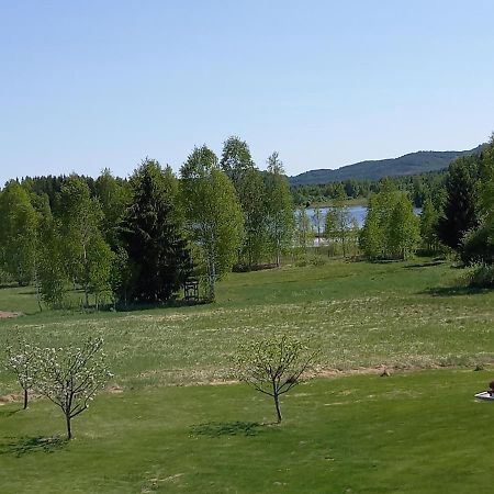Ferienwohnung Laegenhet Pa Landet Torsby Exterior foto